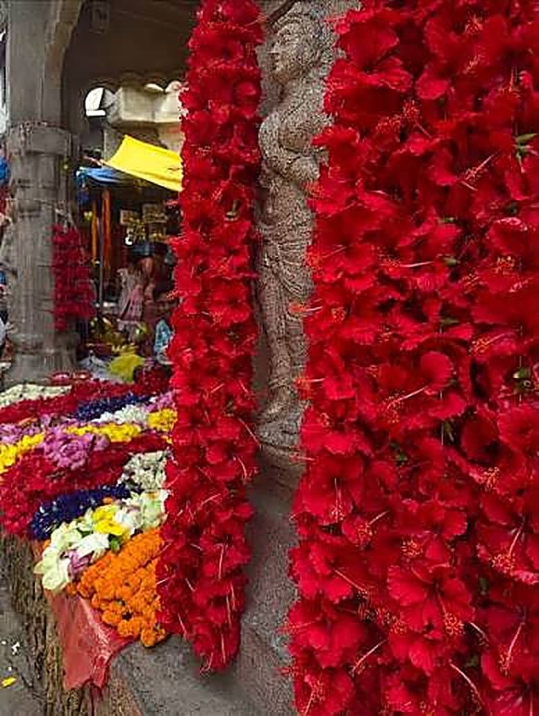 Temple Flowers