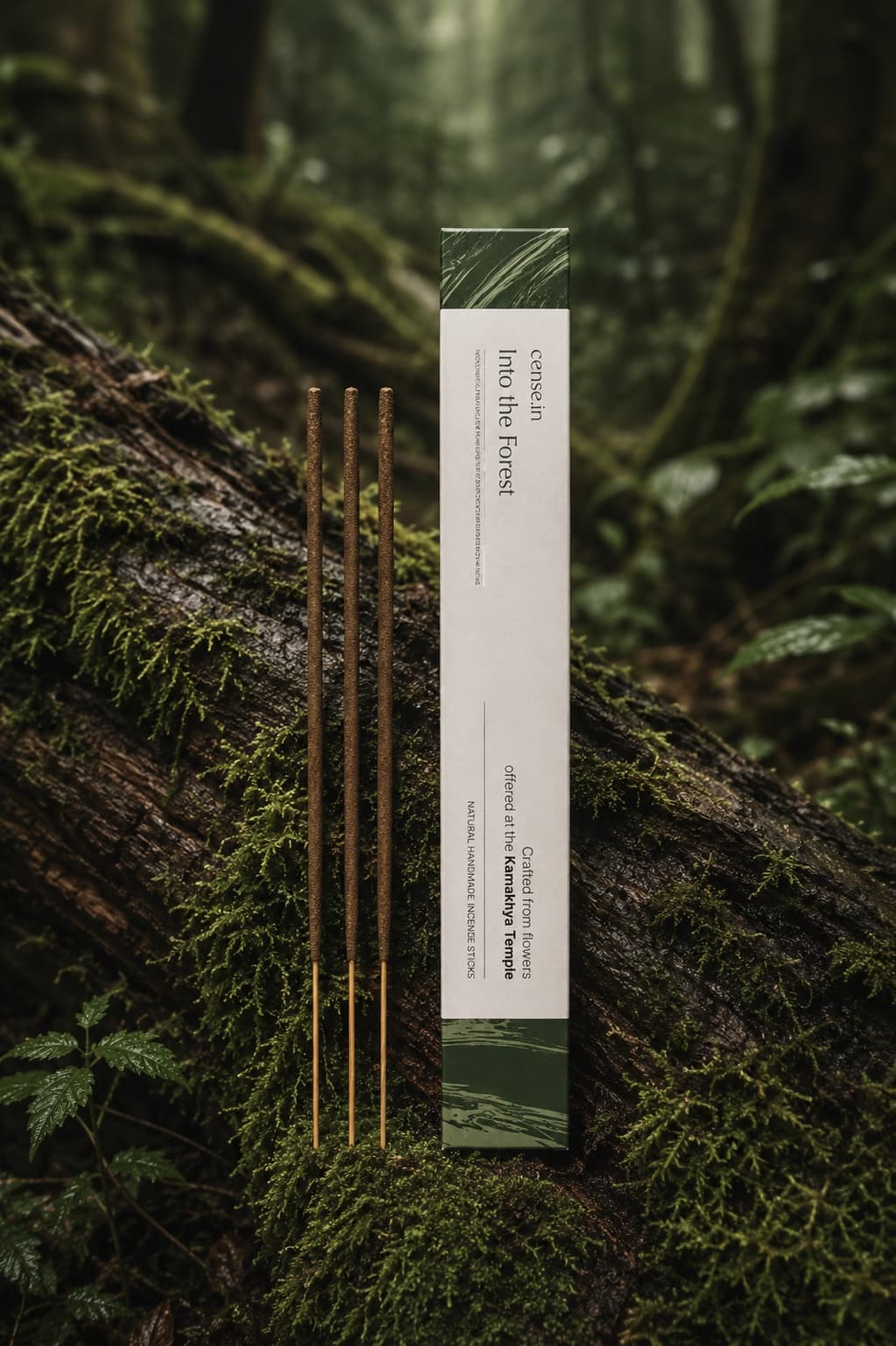 Into the Forest incense box and sticks resting on a moss-covered log in a forest